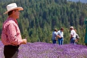 Gary on the lavender field