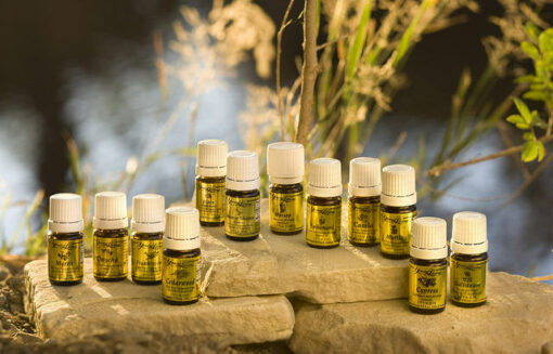 Spirit & Life Anointing Oil